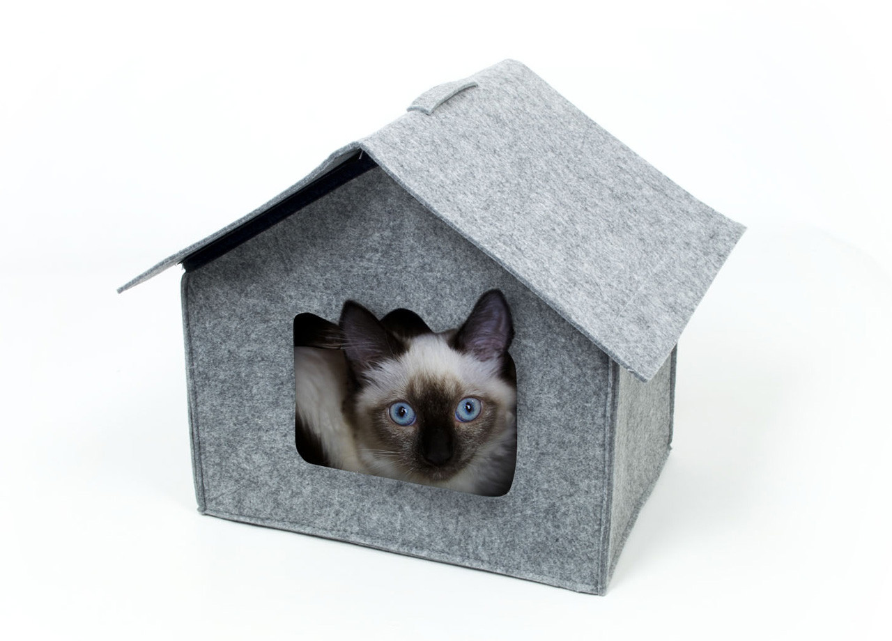 Cuccia Con Cuscino Interno Per Cane-Gatto Modello Casa Dolce Casa