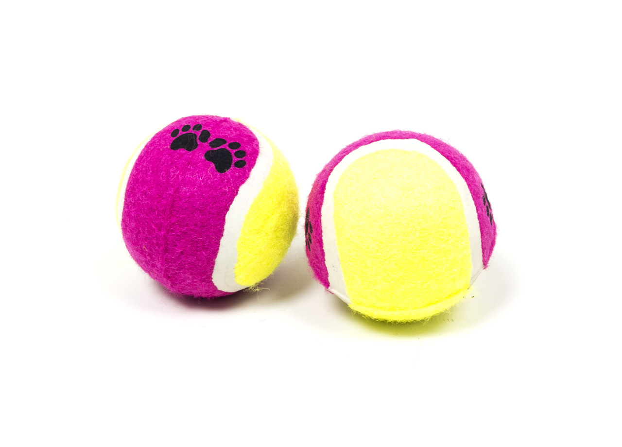 Set Gioco Animali Cani E Gatti 2 Palline Da Tennis Resistenti Da Masticare