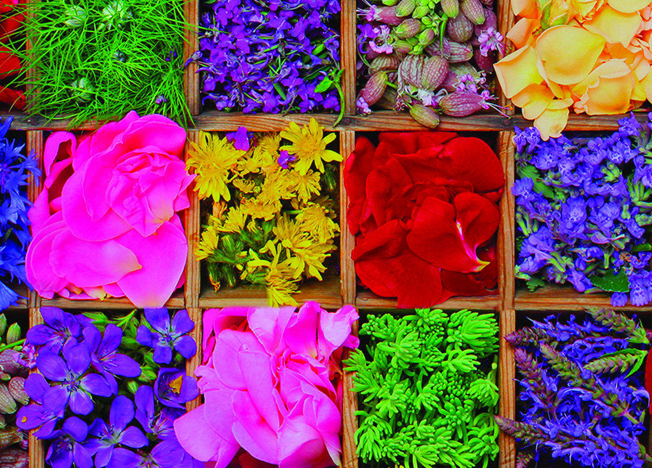 Parure Lenzuola Copriletto 2 Piazze Stampa Digitale Fantasia Flower Box