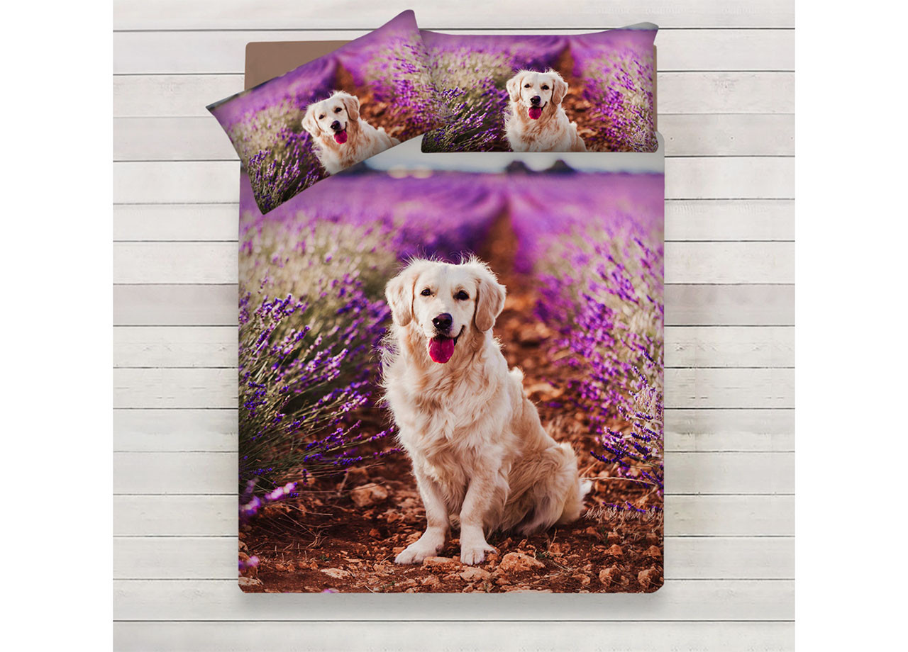 Parure Lenzuola Copriletto Puro Cotone Letto 2 Piazze Sogni D'oro Provence Dog